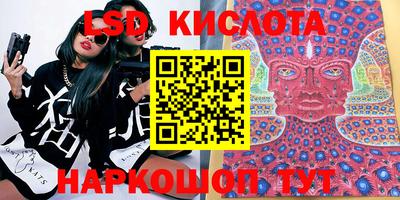 тгк Бийск