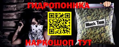 тгк Бийск