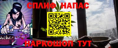 тгк Бийск