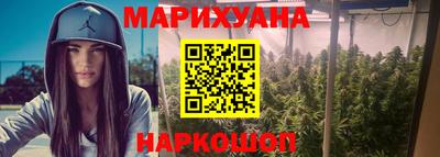 тгк Бийск
