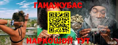 тгк Бийск