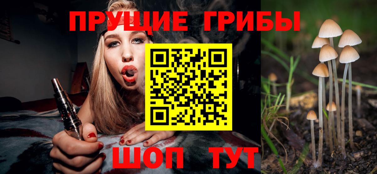 Владикавказ  Псилоцибиновые грибы прущие грибы  Вход с VPN 
